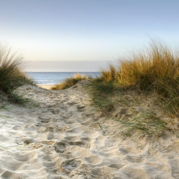 Path leading thorugh sand dunes to the beach at Sandbanks in Poole, Dorset